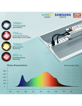 Viparspectra XS 2000/220W