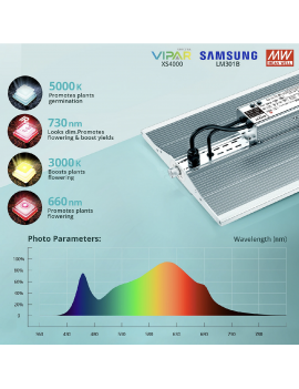Viparspectra XS 4000/480W