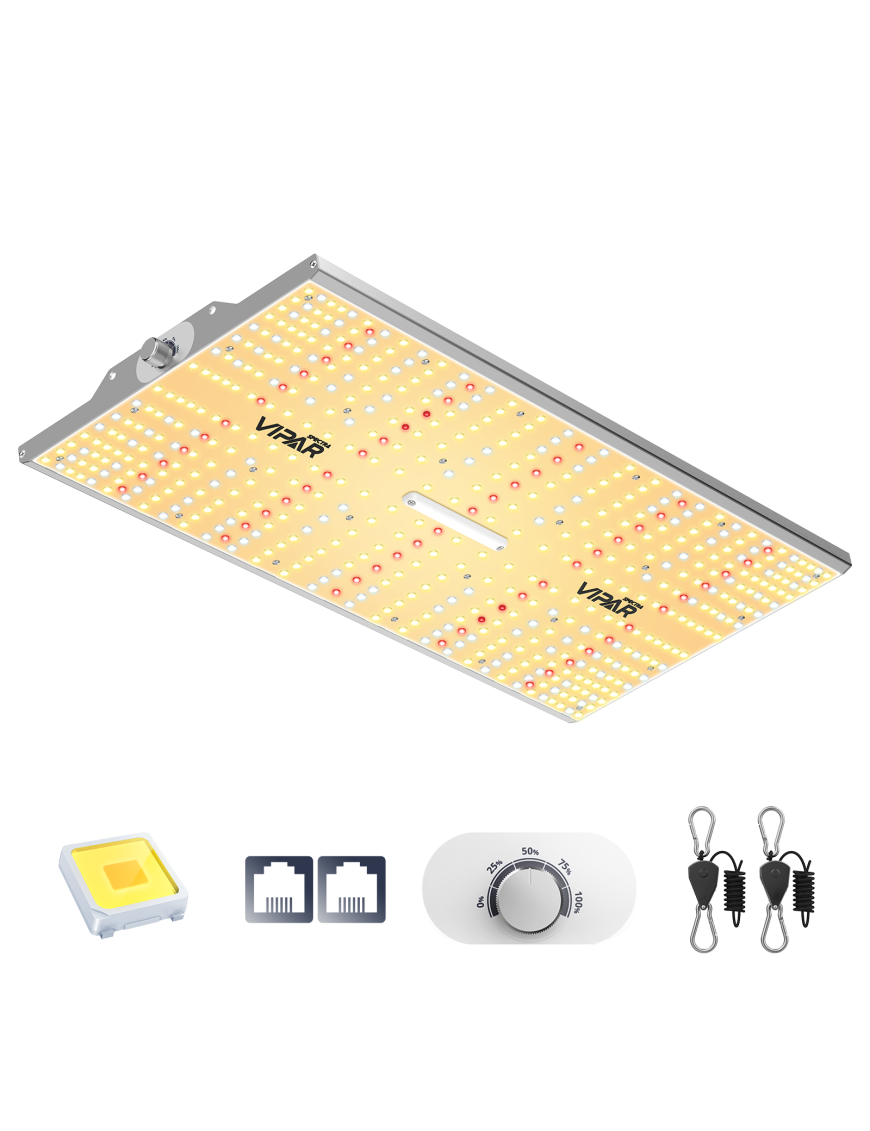 Viparspectra XS 2000/250W