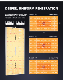 Viparspectra XS 2000/250W