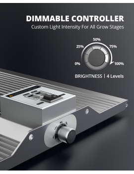 Viparspectra XS 2000/250W